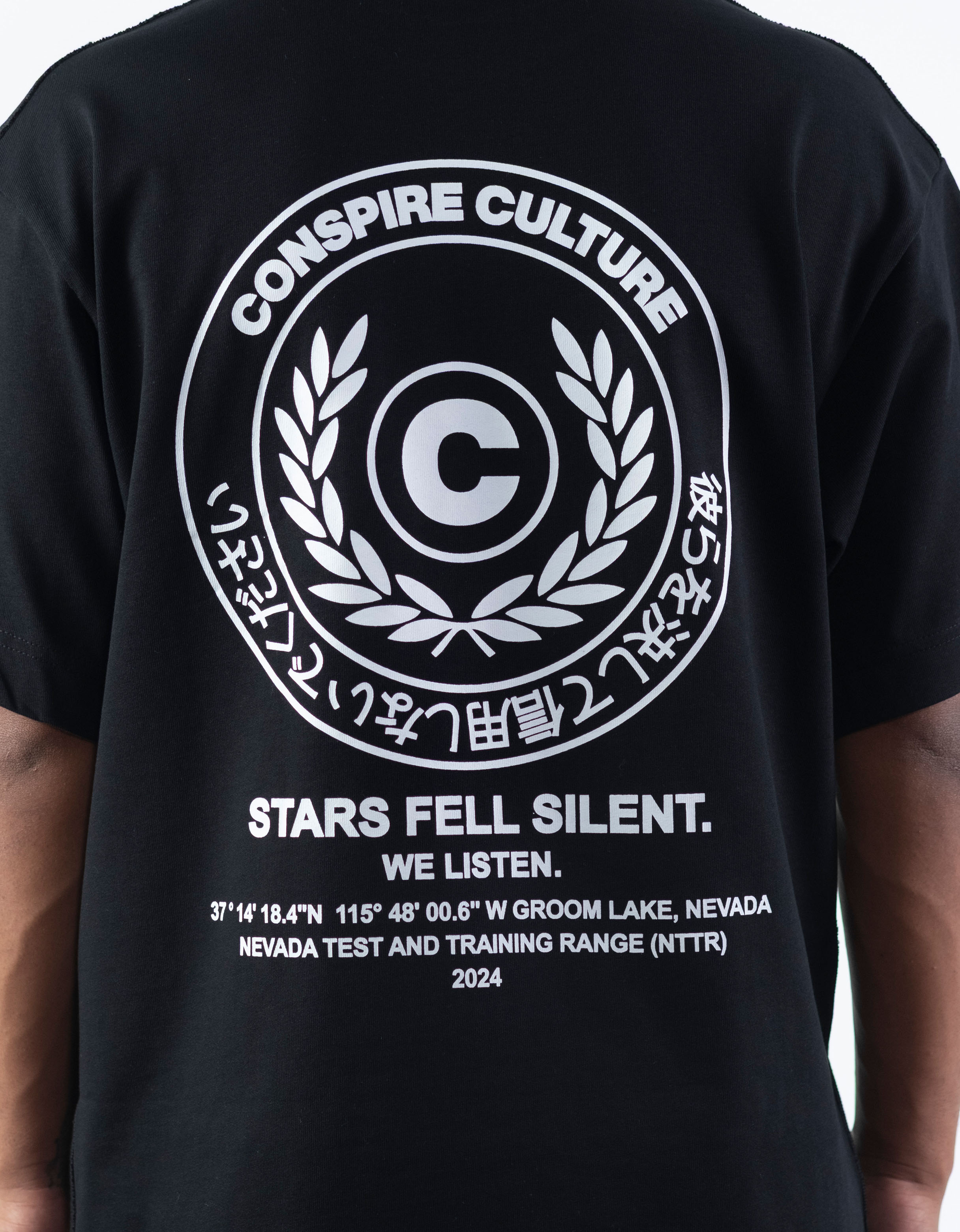 Stars Fell Silent - Washed Black