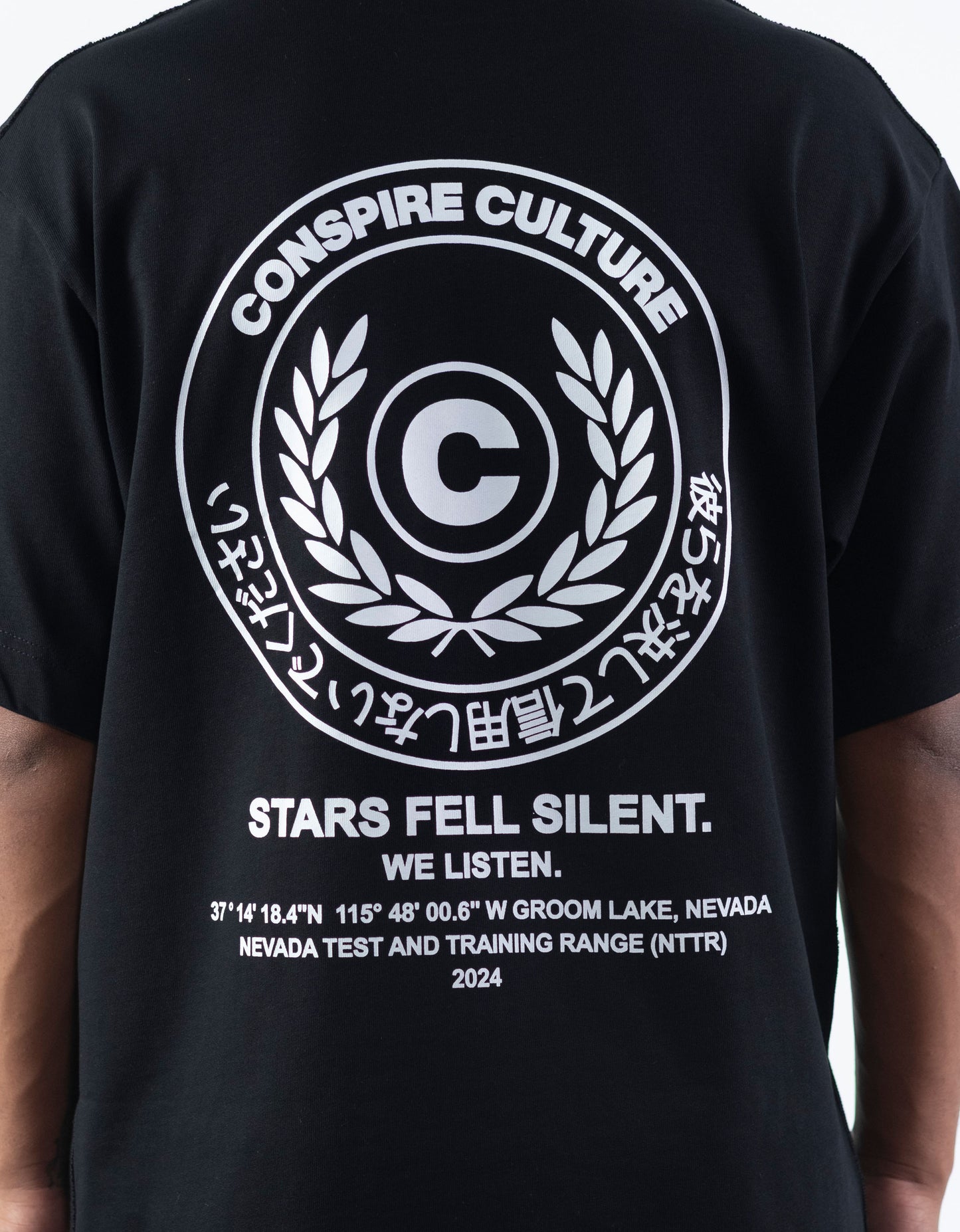 Stars Fell Silent - Washed Black